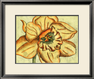 Blooming Beauties V by Nancy Slocum Pricing Limited Edition Print image