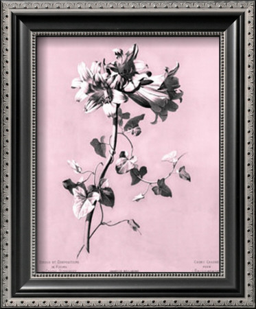 Dussurgey Amaryllis On Pink by Dussurgey Pricing Limited Edition Print image