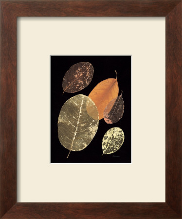 Ebony Forest I by Moira Greaven Pricing Limited Edition Print image