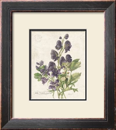 July Delphinium by Katie Pertiet Pricing Limited Edition Print image