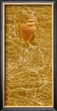Ripple Shell Iii by Tony Koukos Pricing Limited Edition Print image
