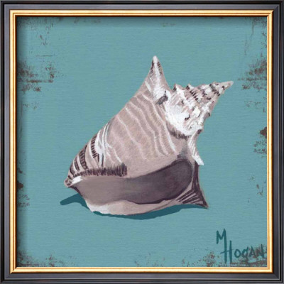 Distressed Seashells: Conch by Melody Hogan Pricing Limited Edition Print image