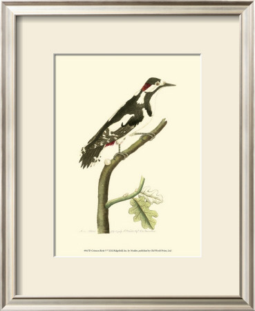 Crimson Birds V by Frederick P. Nodder Pricing Limited Edition Print image