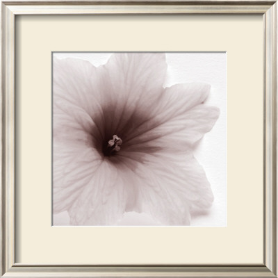 Blossom Iii by J.K. Driggs Pricing Limited Edition Print image