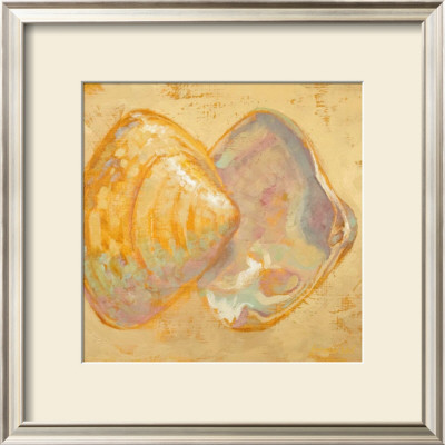 Shoreline Shells Ii by Lorraine Vail Pricing Limited Edition Print image