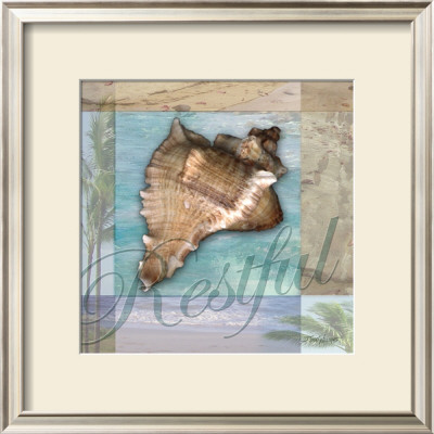 Restful Shell by Todd Williams Pricing Limited Edition Print image