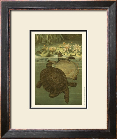 Pond Turtles by Louis Prang Pricing Limited Edition Print image