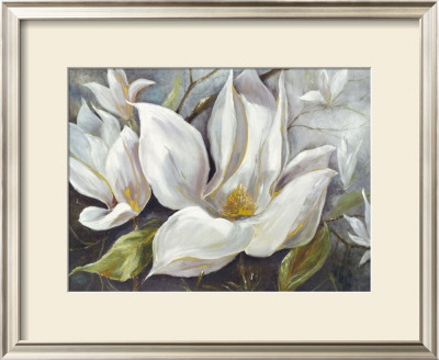 Tender Magnolias I by Anna Field Pricing Limited Edition Print image