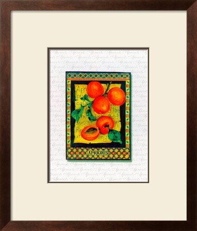 Apricots Arrangement by Tricia Miller Pricing Limited Edition Print image