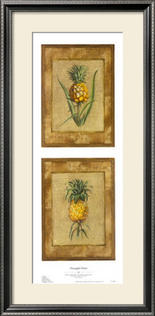 Pineapple Petites by Zachary Alexander Pricing Limited Edition Print image