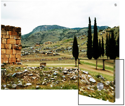 Stone Ruins And Stand Of Trees In Barren Landscape With Mountains, Pamukkale, Turkey by I.W. Pricing Limited Edition Print image