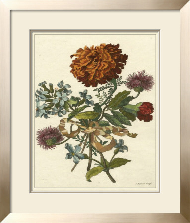 Floral Posy Iii by Giovanni Ferrari Pricing Limited Edition Print image