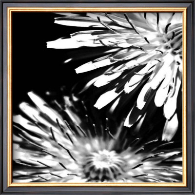 Contrasting Floral I by Jean-François Dupuis Pricing Limited Edition Print image