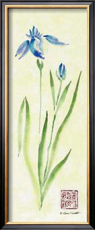 Iris Ii by Gene Ouimette Pricing Limited Edition Print image