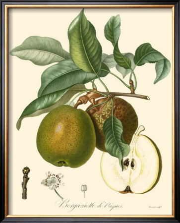 Pears by Bessa Pricing Limited Edition Print image