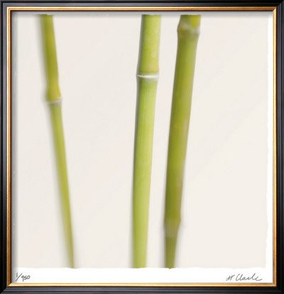 Bamboo Study 9 by Claude Peschel Dutombe Pricing Limited Edition Print image