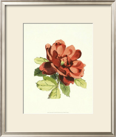 Merie Rose I by Dussurgey Pricing Limited Edition Print image