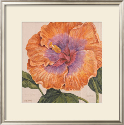 Island Hibiscus Ii by Judy Shelby Pricing Limited Edition Print image