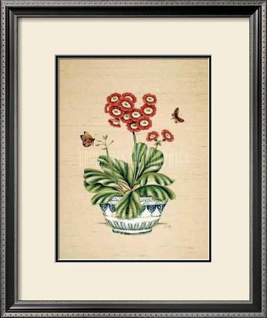Auricula Whimsy by P. Bowden Pricing Limited Edition Print image