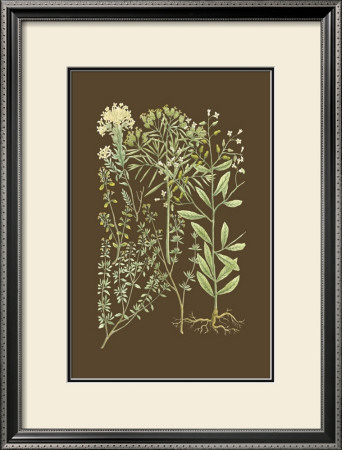 Organic Greenery Iii by Johann Wilhelm Weinmann Pricing Limited Edition Print image