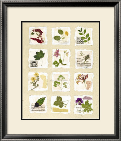 Kent Garden Fragments by Hewitt Pricing Limited Edition Print image