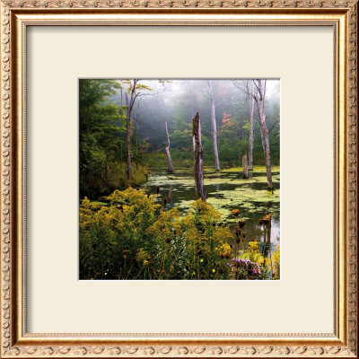 A Misty Morning I by Rick Schimidt Pricing Limited Edition Print image