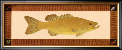 Small Mouth Bass by M. Stevenson Pricing Limited Edition Print image