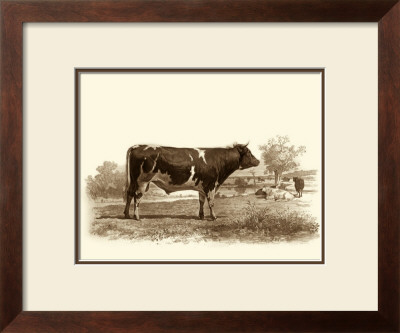 Bovine Iv by Emile Van Marck Pricing Limited Edition Print image