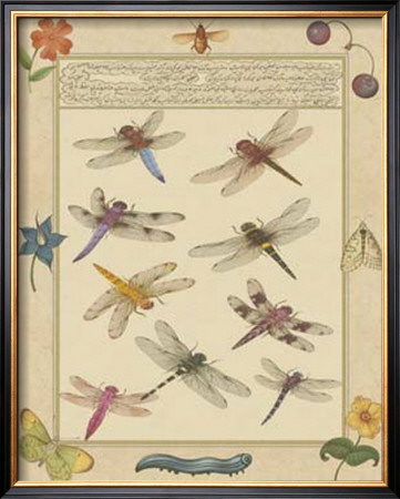 Dragonfly Manuscript Iii by Jaggu Prasad Pricing Limited Edition Print image