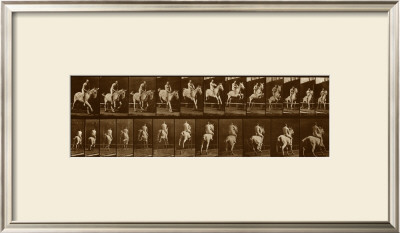Man Riding Horse by Eadweard Muybridge Pricing Limited Edition Print image
