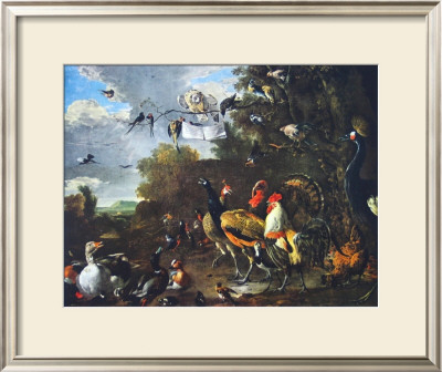 Bird Concert by Melchior De Hondecoeter Pricing Limited Edition Print image