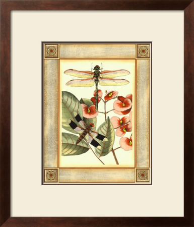 Dragonfly Essence Ii by Deborah Bookman Pricing Limited Edition Print image