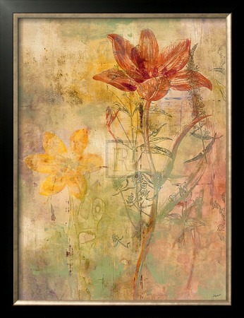 Botanica Ii by Dysart Pricing Limited Edition Print image