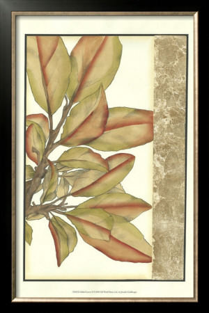 Gilded Leaves Ii by Jennifer Goldberger Pricing Limited Edition Print image