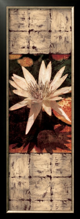 Waterlily Panel I by John Seba Pricing Limited Edition Print image