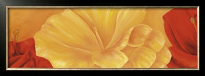 Orange Flower by Erik De Andre Pricing Limited Edition Print image