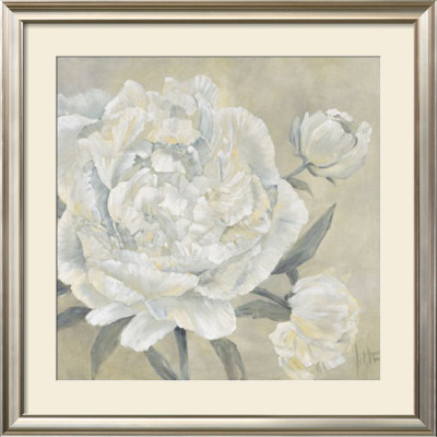 Paeonia Ii by Jettie Roseboom Pricing Limited Edition Print image