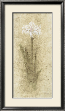 Amaryllis by B. J. Zhang Pricing Limited Edition Print image