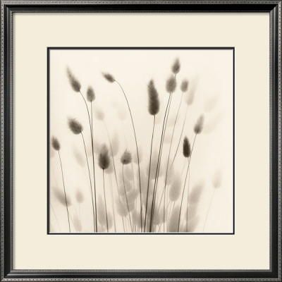 Italian Tall Grass No. 1 by Alan Blaustein Pricing Limited Edition Print image