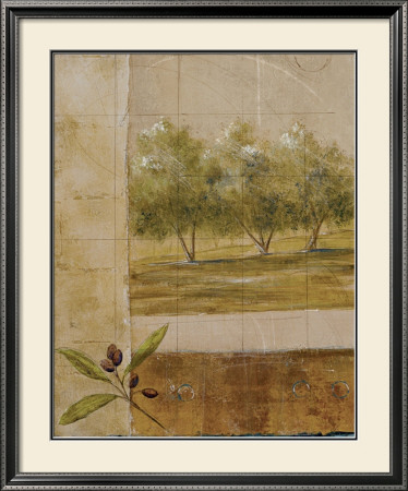 Olive Groves I by Cheryl Martin Pricing Limited Edition Print image