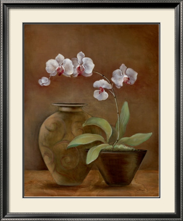 Orchid Antiquity Ii by Jane Tava Pricing Limited Edition Print image