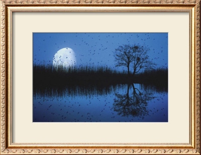 Moonlight Over The Rhine by Werbun Pricing Limited Edition Print image