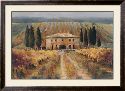 Toscan Vigna by Marilyn Hageman Pricing Limited Edition Print image