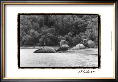 Serene Lake Ii by Laura Denardo Pricing Limited Edition Print image