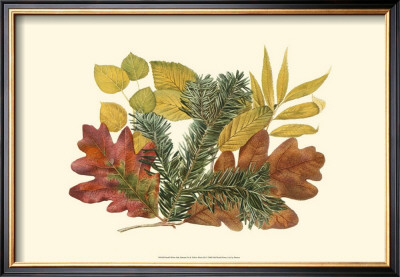 White Oak, Balsam Fir, And Yew Birch by Denton Pricing Limited Edition Print image