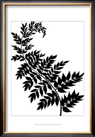 Leaf Silhouette Iii by Chariklia Zarris Pricing Limited Edition Print image
