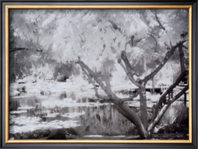 Japanese Garden by Dennis Dunton Pricing Limited Edition Print image