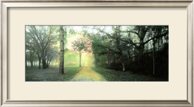 Imagine by P.T. Turk Pricing Limited Edition Print image