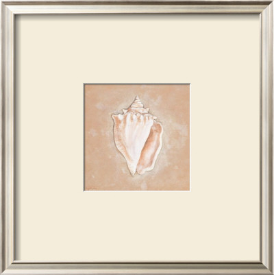 Citrus Shell I by Eugene Tava Pricing Limited Edition Print image