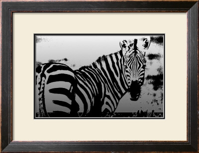 Zebra Chrome I by Susann & Frank Parker Pricing Limited Edition Print image